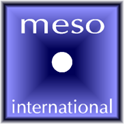 meso-international-logo.png